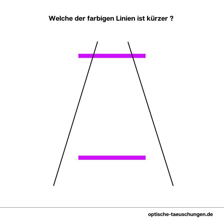 Optische illusies en gezichtsbedrog | Natuurlijk Zien Optische illusies en gezichtsbedrog | Natuurlijk Zien