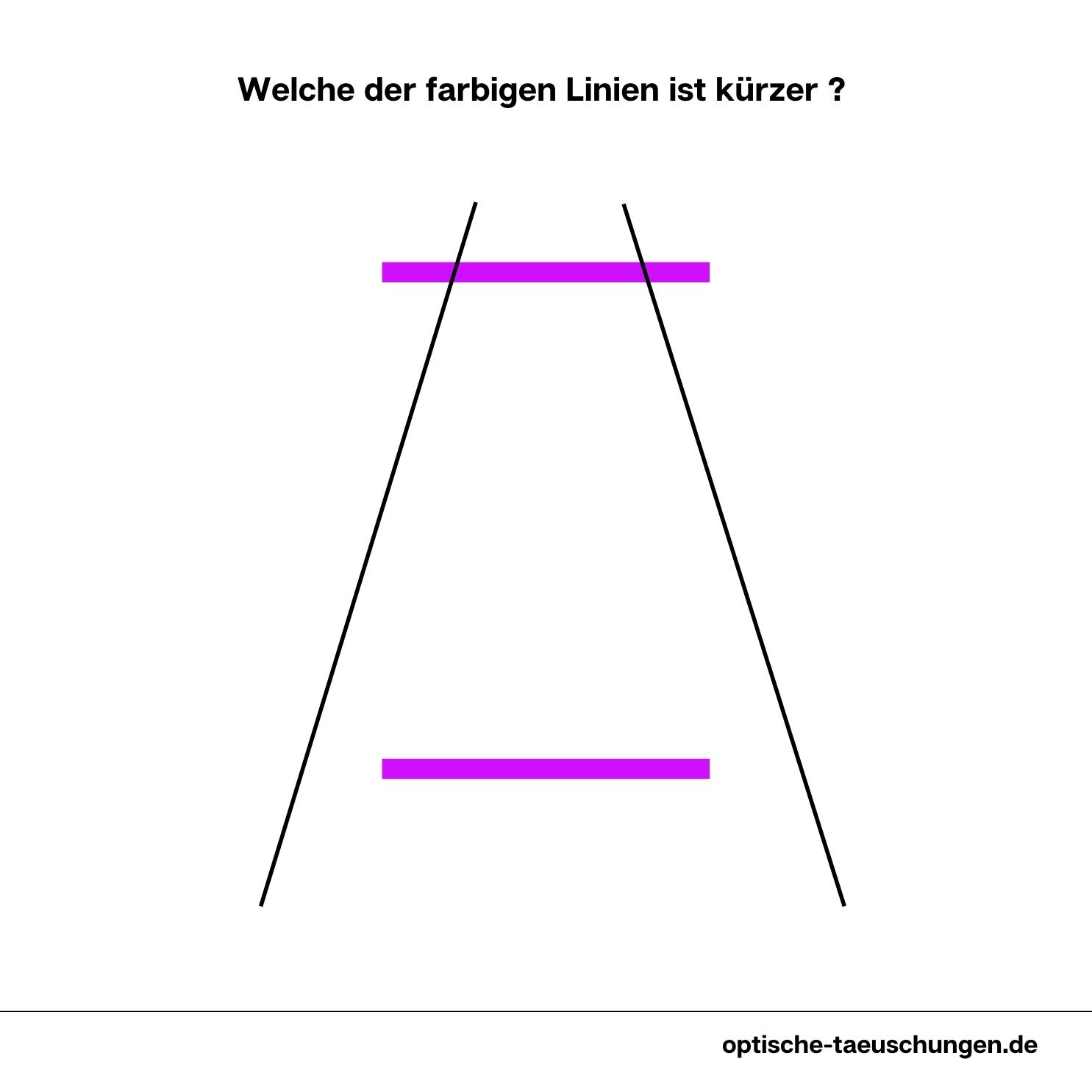 Optische Täuschungen richtig verstehen. – Optische Täuschungen